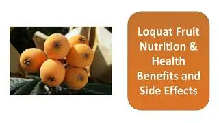 Loquat Fruit Nutrition & Health Benefits and Side Effects