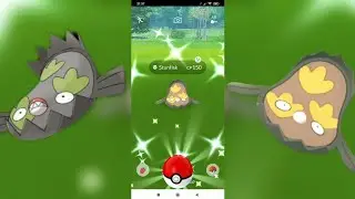 ✨ Shiny Galarian Stunfisk Spawn ✨ Шайни Галариан Станфиск ✨