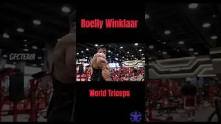 &bull; Triceps World Roelly Winklaar 🔥 #roellywinklaar #triceps #musculation