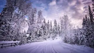 10 Minutes Of Snow Footsteps Sounds | ASMR & Satisfying Video