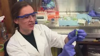 A Tour of the Rehse Biomedical Physics Lab at the University of Windsor