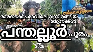 പന്തല്ലൂർ പൂരം 2026 തെച്ചിക്കോട്ടുകാവ് രാമചന്ദ്രൻ അടക്കം നിരവധി ആനകൾ വന്നിറങ്ങി #Panthalloorpooram