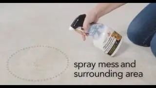 Как очистить следы мочи &ndash; средства для удаления пятен и запахов Pawsitively Clean&reg;