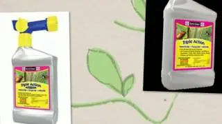 Lawn Fungicides and Lawn Insect Controls @ Jared's Nursery Littleton CO 80127