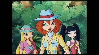 WINX AMV- i am wrong