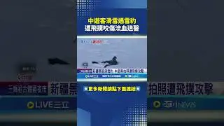 中遊客滑雪遇雪豹 遭飛撲咬傷流血送醫 #三立live新聞 #shorts