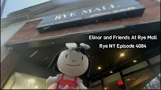 Elinor and Friends At Rye Mall Rye NY Episode 4082