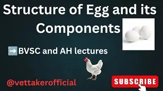 Structure of Egg || Components of Egg || Covering of Eggs || Egg Albumin || # Poultry Anatomy 