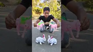 Remote Control 2 Ta Rabbit and RC 2 Ta horse deko 😊