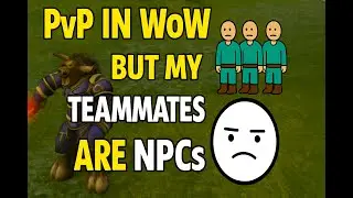 WOW PVP But My Teammates Are NPCs🤯💀