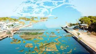 Drone : Marseillan Plage (34) Languedoc-Roussillon