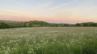 Relaxing music #relaxing #calmness #trending #stressreliever #relax #deepsleep #breaktime