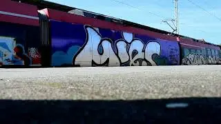 HAMSTERBACKE #graffiti #stylewriting #potsdam #hiphop #ilovegraffiti #train #panel #t2b #chrome 