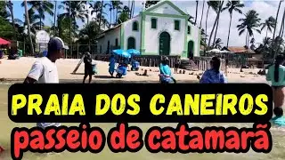 PRAIA DOS CARNEIROS PERNAMBUCO,Passeio INCRÍVEL de CATAMARÃ 👏🏻👏🏻🌊☀️