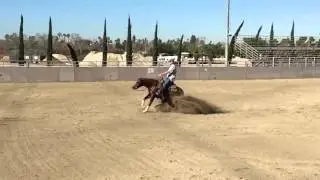 Slow motion slide stop: Whiz Eli Codie (Sleipner LLC)- NRHA 2016 Futurity Prospect