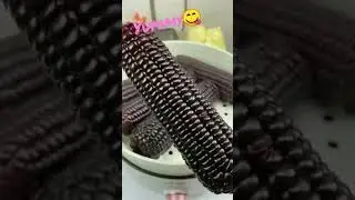 Black corn😋#shortv #viral# NamalAli❤