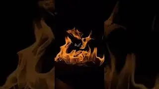 Hale dill tujhko sunata|love status💓💓#whatsapp_status#newwhatsappstatus#newstory#lovestatus🫀🫀🫀🫀