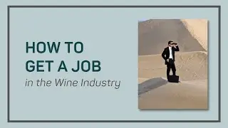 How to Get a Job in the Wine Industry  | Wine Sales Stimulator