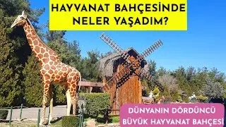 TÜRKİYE'NİN EN BÜYÜK HAYVANAT BAHÇESİNİ GEZDİK! YILANLARLA SAVAŞIM😱 GAZİANTEP HAYVANAT BAHÇESİ.
