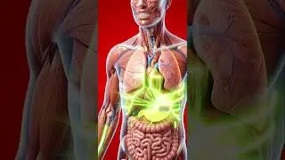 what if you eat raw garlic #shorts #food #health