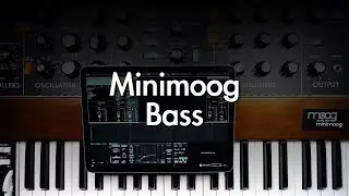 Detune Square Wave Minimoog Model D | Internal Overdrive Bass