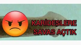 KARİDES AKVARYUMU PLANARYA SORUNU #karidesakvaryumu #karides #noplanaria #planaria #planarya