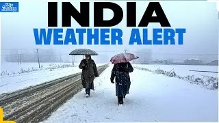Nationwide Weather Forecast: Cold Wave Hits North India, Pleasant South & East