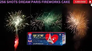 256 SHOTS DREAM PARIS FIREWORKS CAKE 2023