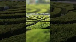 Bhool Bhulaiya Garden || Maze Garden statue of unity #sou #statueofunity #garden #trending #shorts