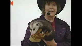 Dr. Zoolittle