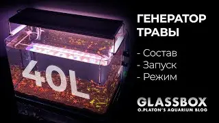 Аквариум 