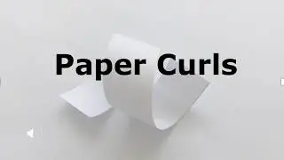 paper curls 2