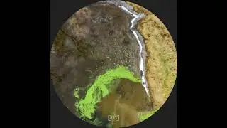 MirrorLake - Subacuatica