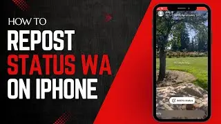 How to Repost Status on Whatsapp iPhone