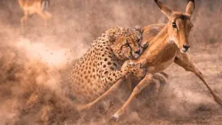 عِنْدَمَا تُغْلَقُ كُلُّ الطُّرُق… كَيْفَ نَجَا؟