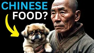 Does China Eat Dogs and Cats? Do Chinese People Eat Dogs and Cats (Ai Cat Stories) (Cat Story)