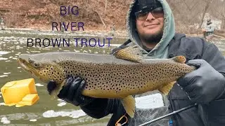River Fishing for BIG Brown Trout, BEATDOWN, 30 FISH CAUGHT
