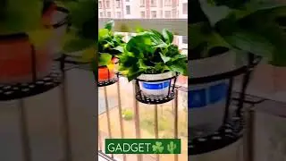 Smart Plant Gadget | Home Garden #smartgadgets #gadgets #gardening #homegadgets  #smartlifegadget