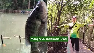 Mancing Mangrove Jakarta Cuman Rp.3000 2026 || Mancing & Refreshing 