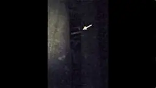 The Night Yowies