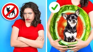 Unusual Ways To Sneak Pets Anywhere! 🐶🍉🎒 Smart Hacks And Funny Situations By A PLUS SCHOOL!