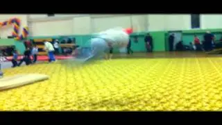 No Fear (Toxa) 2012 teaser (HD)