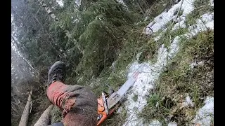Kompurointia, taljakaatoa ja konkelon purkua. Husqvarna 572 xp And Stalpen Tree Jack.