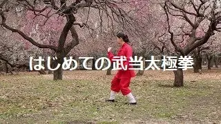 Wudang Taiji 64: Xuanwu Pai