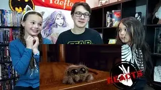 Lucas the Spider Reaction!!! Sooo Cute!!!