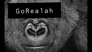Unnamed 1 (GoRealah)