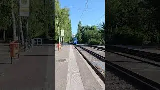 Duewag 6NGTWE RSAG Nr.670 Linie 4 Hst. Lorenzstr. 17:31 30.07.24 #tramspotting #RSAG #Rostock #tram