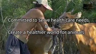 Welcome to Vetchem Pharma www.vetchempharma.com