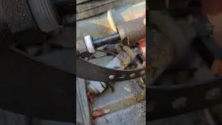 Mud Skipper TW2 Prop Seal