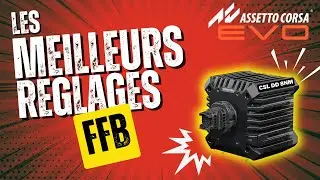 AC EVO : comment régler son FFB correctement